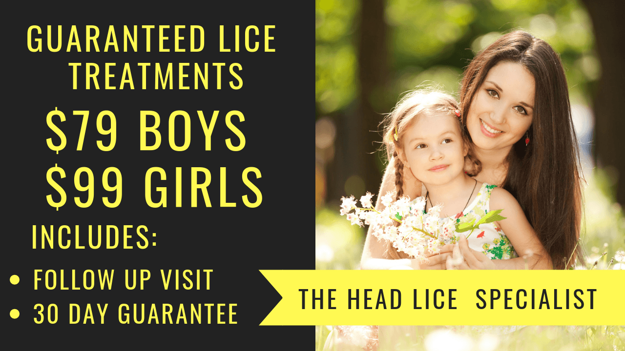 Head Hunters Natural Lice Products-Get Expert Lice Treatment in Atlanta-Natural Lice Products