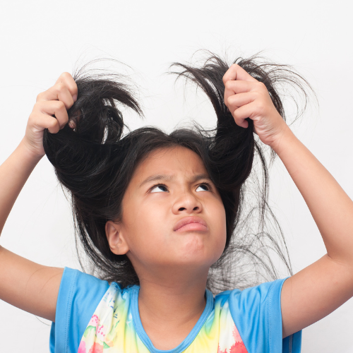 Can Head Lice be on Other Areas of the Body?