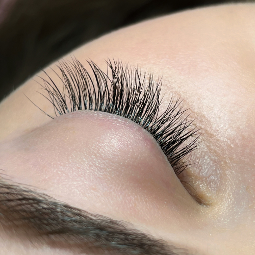 The Truth about Lice in your Eye Lashes'