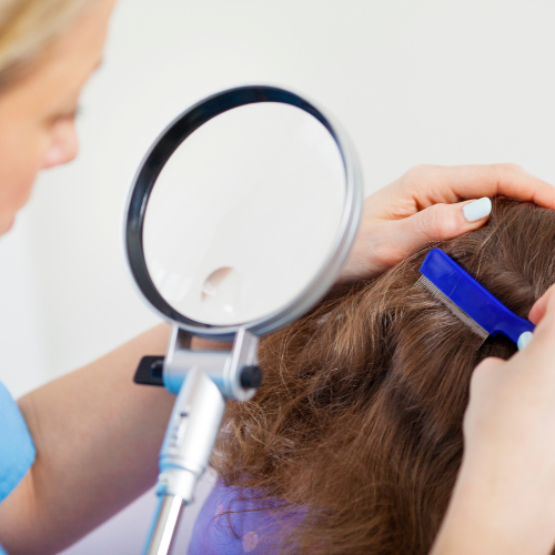 We Offer Lice Removal Procedures That are Safe for the Children of Atlanta